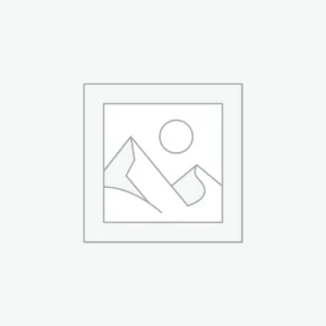 Cyber Ninja Figurine